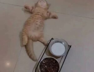 irish spring soap good for skin