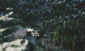 joint staff no fear act training course pretest