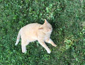 kids haircut long on top short on sides