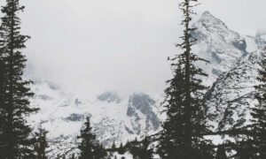 layered double chin round face medium length hairstyles