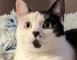 list three challenges that made travel along the silk road dangerous.