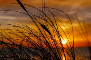 l'oreal revitalift pressed night cream review