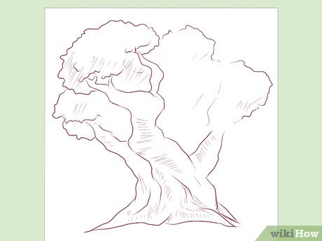 Step 2 Draw the tree